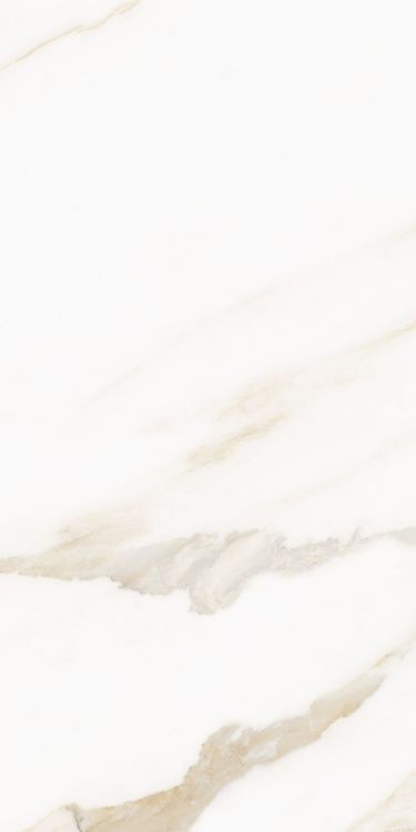Classy Warm White Matte 12 x 24